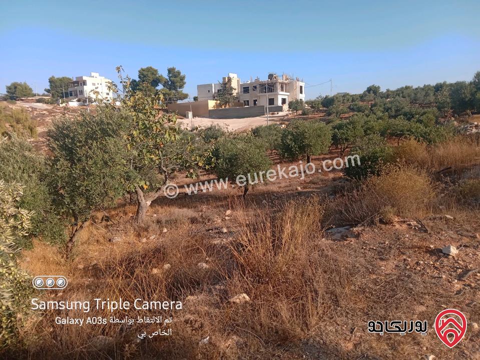 ارض مساحتها 756م للبيع في عمان - ناعور الروضة 