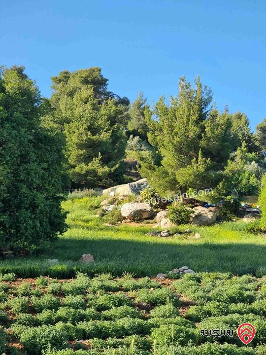 مزرعة جميلة جدا مساحة 18000م للبيع في جرش الكته حوض المحافير 