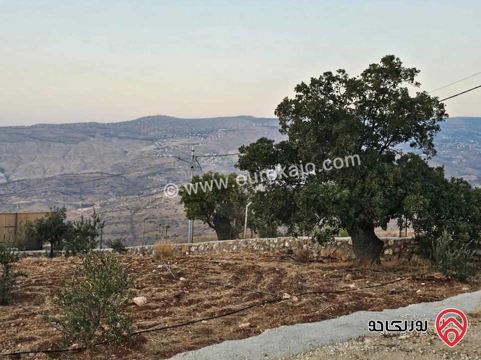 مزرعة ريفية مساحة الأرض 3 دونم و 500م والبناء 130م للبيع في السلط - الصبيحي