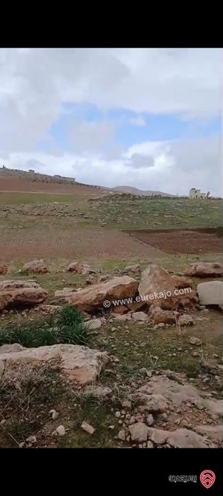 أرض مساحة 5 دونم للبيع في مادبا – لب