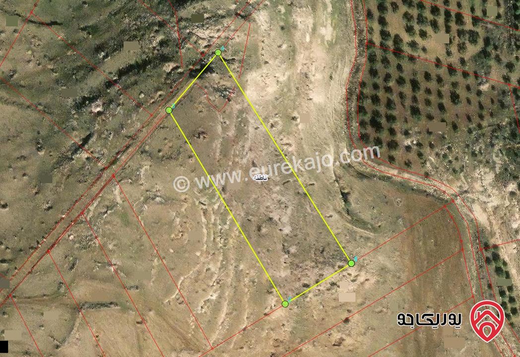 قطعة ارض مساحة 1730م للبيع في اربد - ناطفة - شمال طريق اربد الدائري