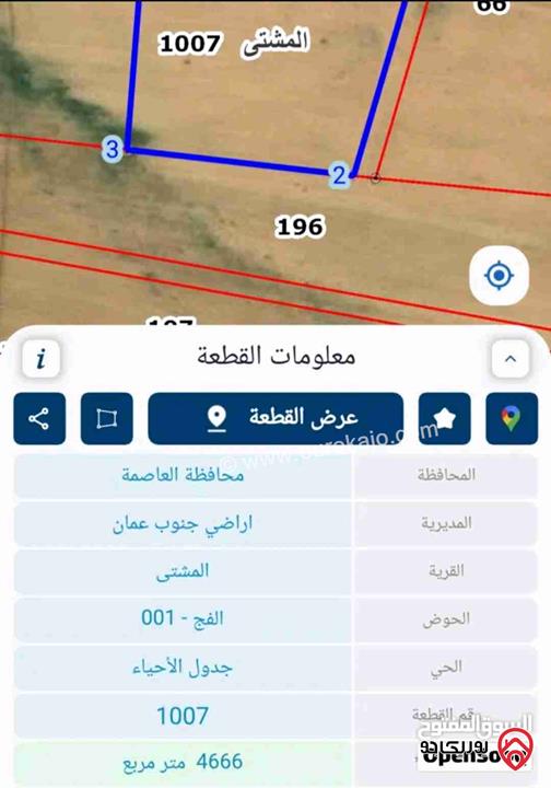 ارض مساحة 4 دونم و 666م للبيع من أراضي جنوب عمان - المشتى