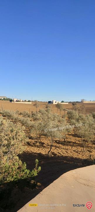 مزرعة مساحة 10 دونم مع مسبح صغير وبيت صغير للبيع في جنوب عمان حوض الهريج ملاصق لحواره مادبا