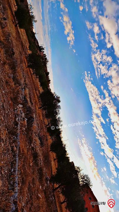 قطع أراضي بمساحات من 450م - 500م للبيع في الزرقاء - بيرين