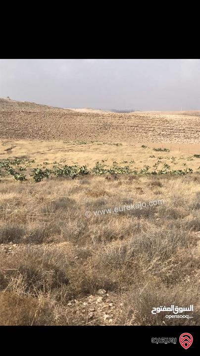 قطعة ارض مساحة 29 دونم للبيع في مادبا - ذيبان