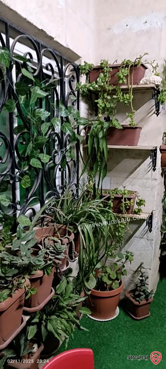 شقة مساحة 130م طابق ثاني للبيع في عمان - ضاحية الاستقلال