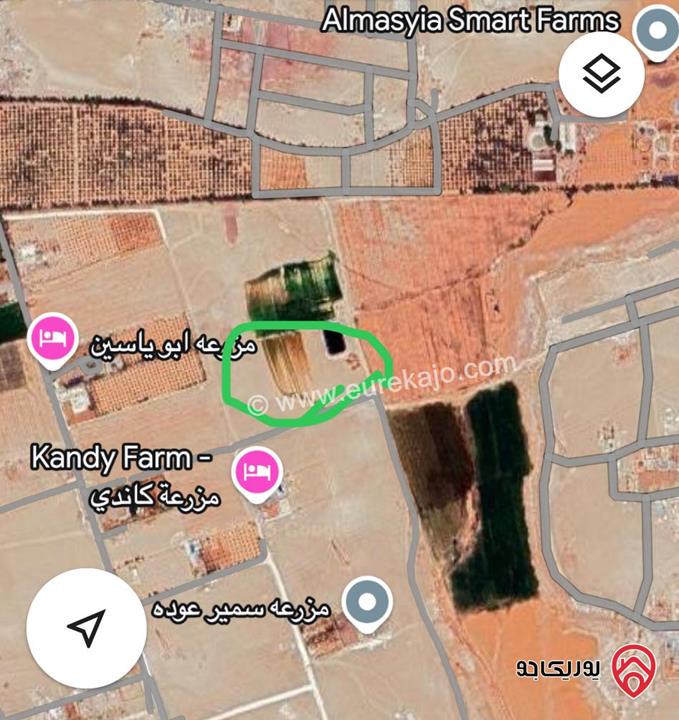 قطعة أرض زراعية مساحة 20 دونم للبيع من أراضي جنوب عمان - زويزا