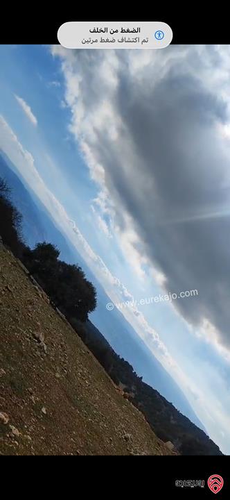 قطعة أرض مساحة 1 دونم للبيع في جرش دبين منطقة سياحية خلابة