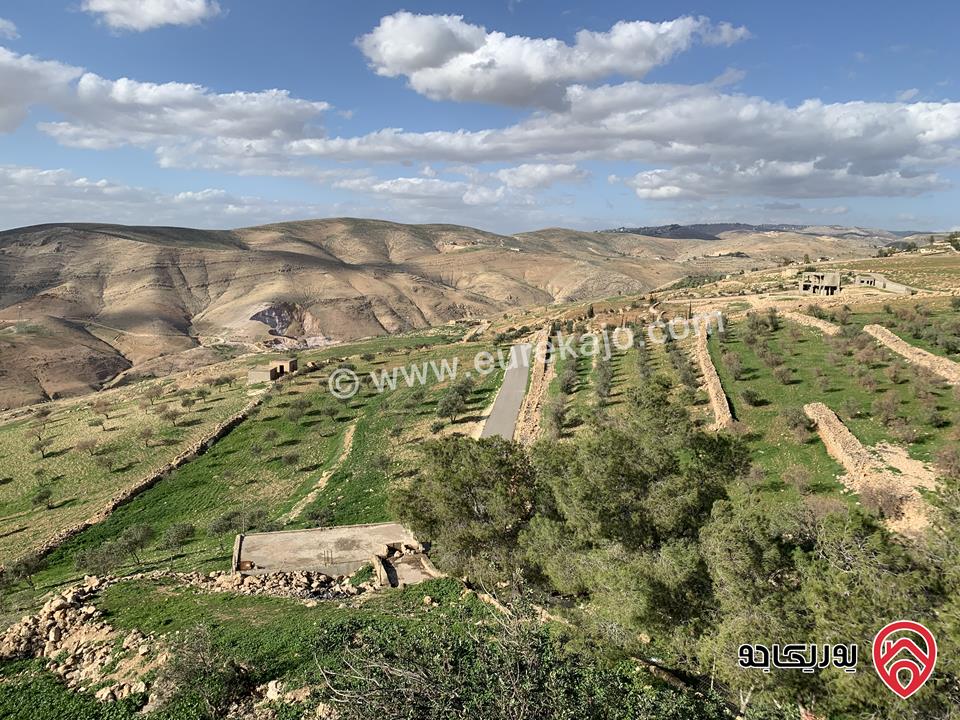 أرض مساحة 4 دونم و 254 متر للبيع من أراضي غرب عمّان/ عراق الأمير - مطلة على البحر الميت و الأراضي المقدسة