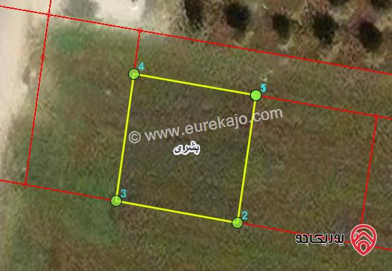 ارض 533م للبيع في اربد - من اراضي بشرى ضمن حوض الدن 