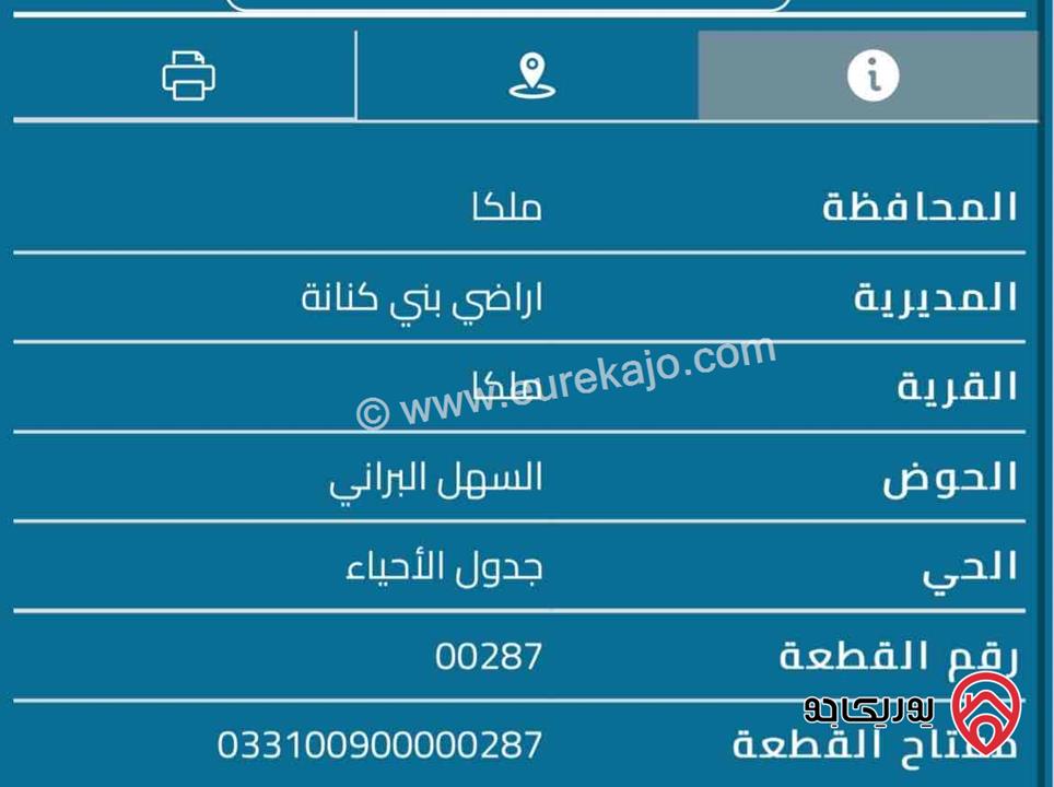 قطعة ارض مساحة 926م مزروعة زيتون للبيع في اربد ملكا حوض السهل البراني 