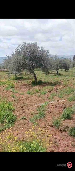 قطعة أرض مساحة 1 دونم و400م مشترك للبيع في جرش - ام خروبة