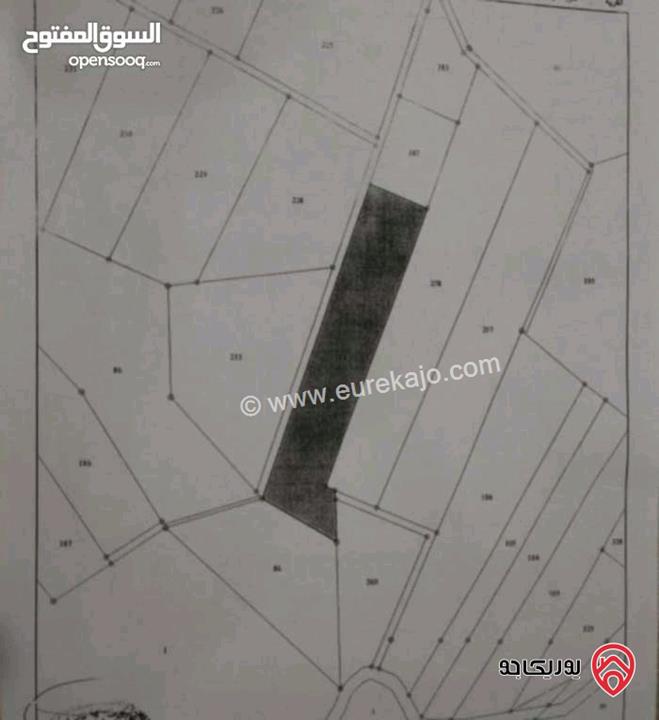 ارض مزرعة استثمارية مساحة 13 دونم للبيع بجبال عجلون - خربة الوهادنه السياحية التنموية 