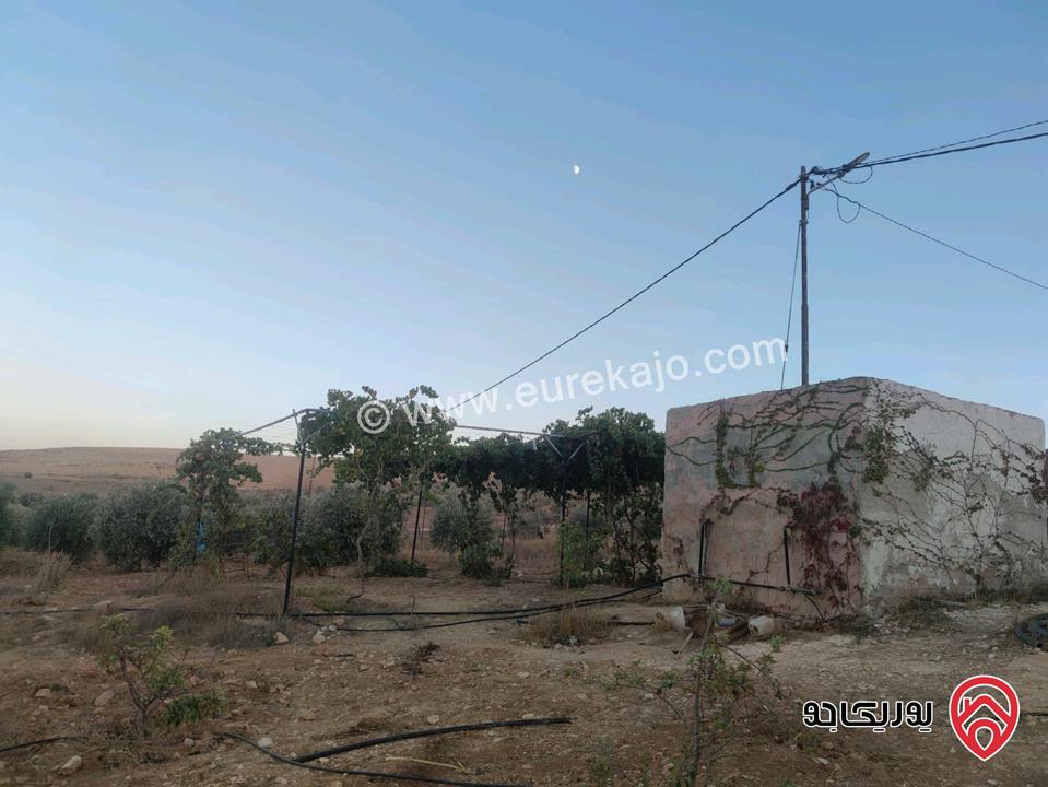 منزل مساحة 140م على أرض 5 دونم للبيع في المفرق قضاء رحاب 