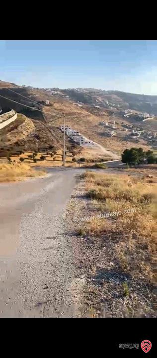 أرض مساحة 1 دونم للبيع في بيرين - محافظة الزرقاء