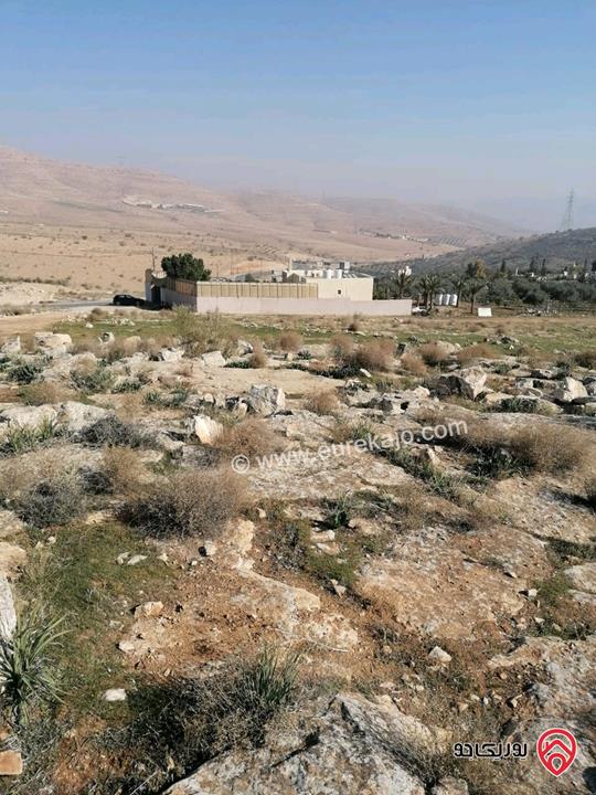 ارض مساحة 1 دونم و 263م اطلالة بانوراما للبيع في الزرقاء - بيرين
