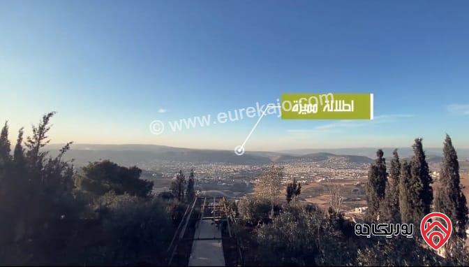 قصر مساحة 1200م على أرض 4 دونم للبيع في عمان - الجبيهة بجانب قصر الأميرة بسمة