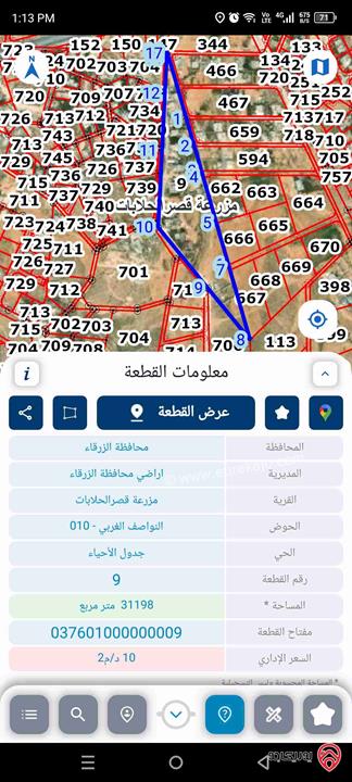 قطعة ارض مساحة 3 دونم و 225م قوشان مشترك للبيع في الزرقاء - الظليل