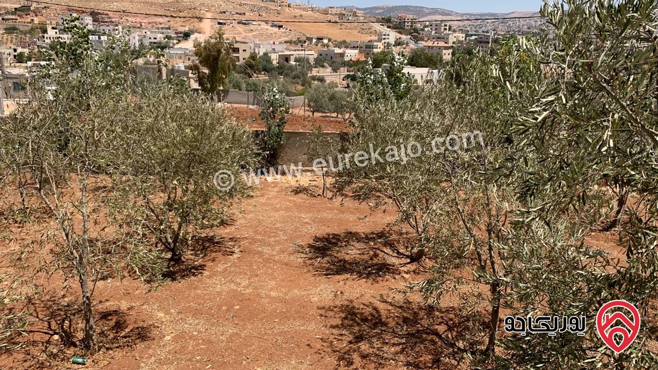 مزرعة مساحة الأرض 2 دونم للبيع بدون منزل في جرش حي الجبارات