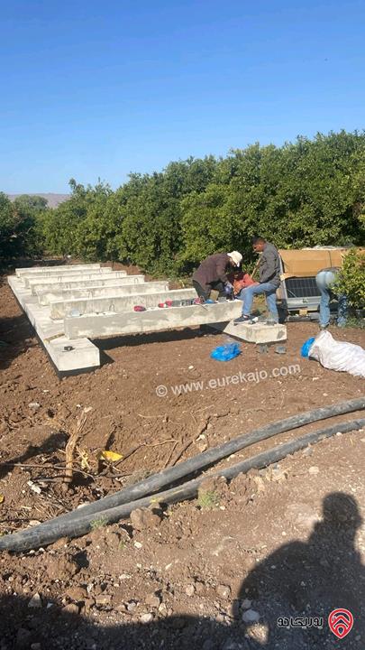 قطعة ارض مساحة 3 دونم و 600م للبيع في المفرق