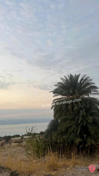 ارض مميزه جدا مساحة 2550م للبيع في مادبا - مكاور زارا ماعين مطله اطلاله على البحر مباشره