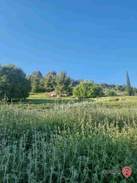 مزرعة جميلة جدا مساحة 18000م للبيع في جرش الكته حوض المحافير 