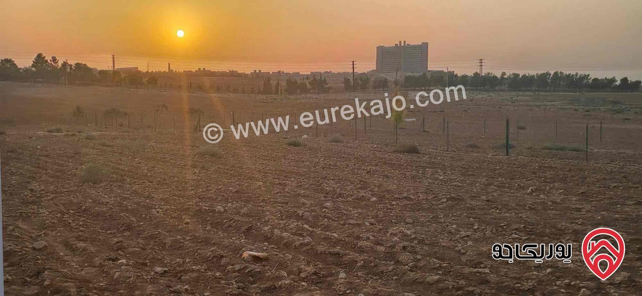 قطعة أرض مساحة 1 دونم و 73م للبيع في اربد - الرمثا