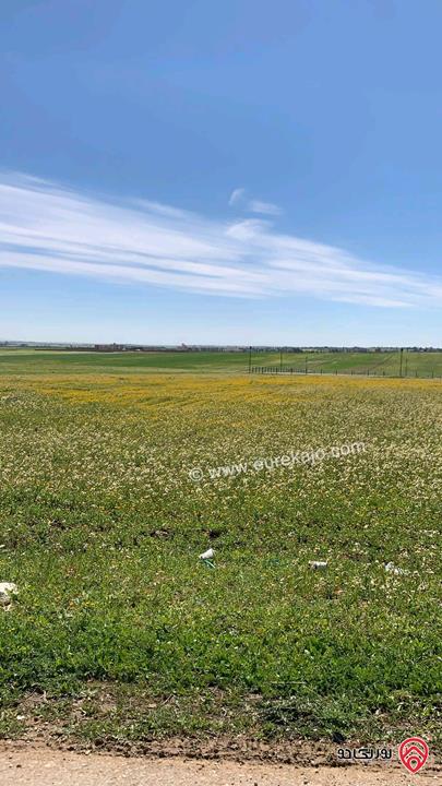 أراضٍ مشتركة بمساحات متنوعة من 5 دونمات لغاية 50 دونم للبيع من أراضي جنوب عمان - ام رمانه منطقة حيوية وسريعة التطوير