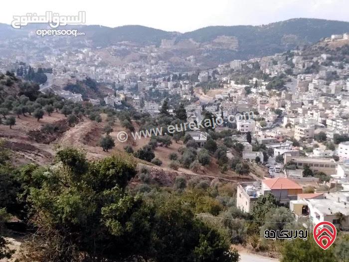 أرض مساحة 2 دونم و 197م للبيع في عجلون - عين جنا بإطلالة مباشرة على قلعة عجلون