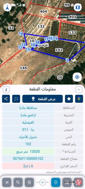 أرض مزروعة زيتون مساحة 13 دونم للبيع في مادبا - قرية الفيصلية 