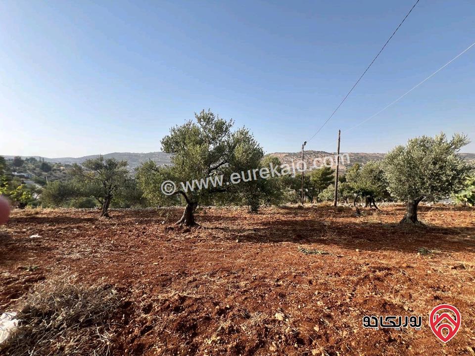 قطعة أرض ريفية مساحة 7 دونم للبيع في في جرش سوف حوض بيدر الحمص 
