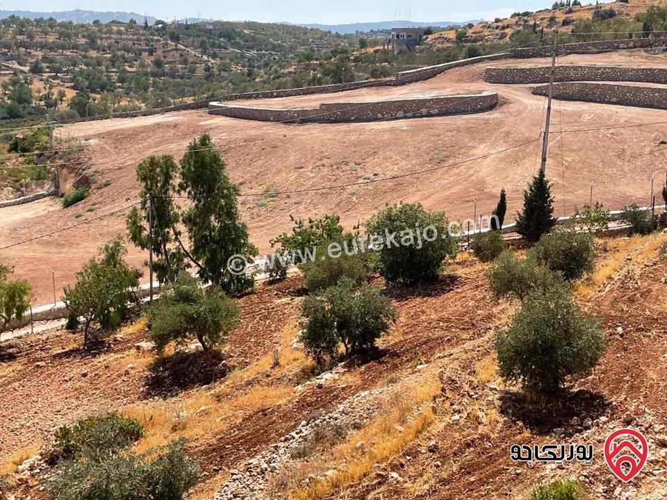 أرض مساحة 4 دونم و 730م يوجد فيها بيت يتكون من ثلاث طوابق عظم غير مجهز للبيع في جرش - سوف - السهلات