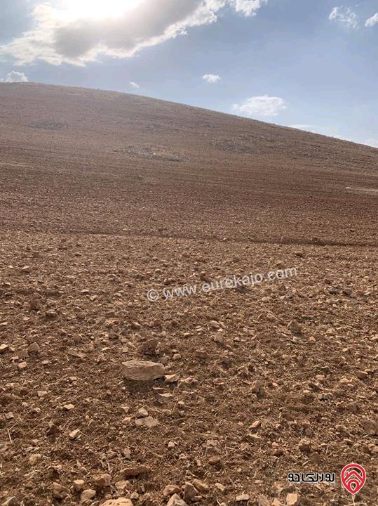ارض مساحة 12 دونم للبيع في جرش - منطقة قفقفا 