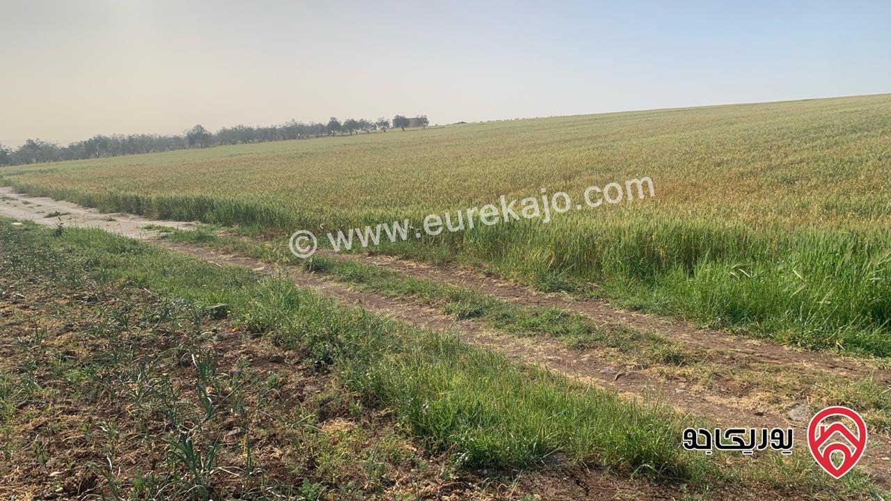 قطعة ارض مساحة 10 دونم للبيع شمال مدينة اربد منطقة ام قيس