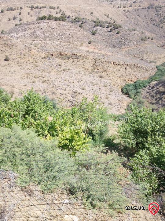 مزرعة مساحة 14 دونم مشجرة ومسيجه فيها بيت للبيع في ناعور وادي السليط 