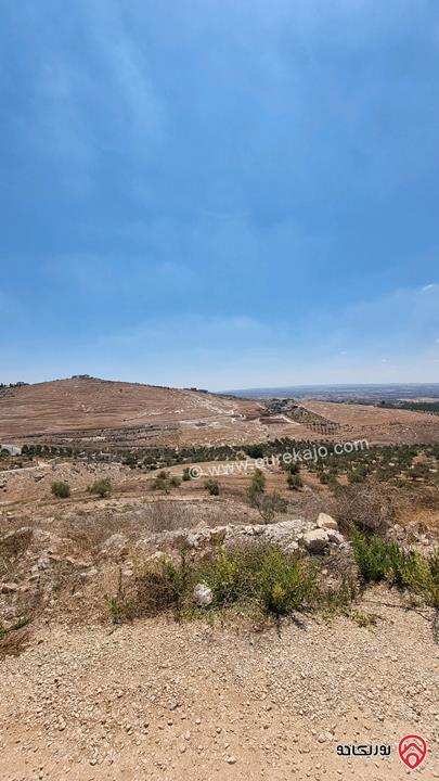 قطعة أرض مساحة 2 دونم و 892م للبيع من أراضي بني كنانة اربد - في سما الروسان
