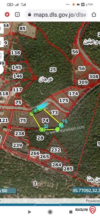 قطعة ارض مساحة 6 دونم و 575م للبيع في عجلون راس منيف