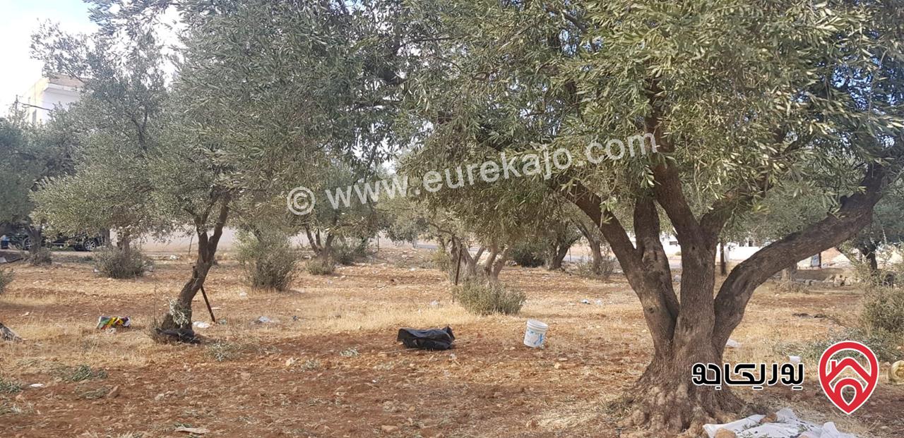 أرض مساحة 917م للبيع في عمان - حسبان خلف الجامعة الألمانية الأردنية