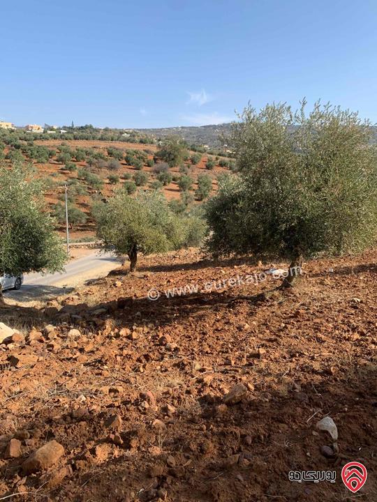 ارض مساحة 3 دونم و 400م للبيع في السلط الصبيحي منطقة بيوضة 