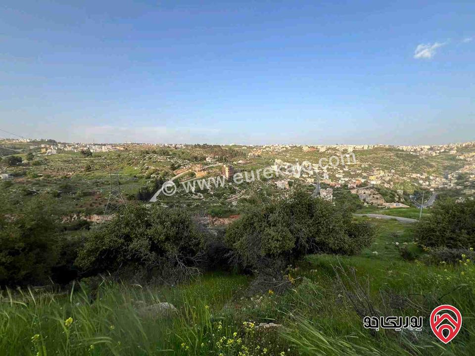 قطعة أرض مساحة 875م بسعر مغري جدا استثمارية للبيع في عمان - البيادر
