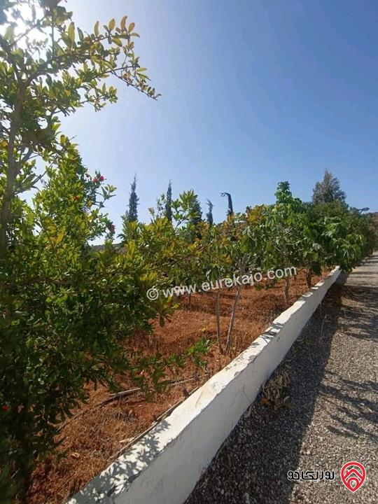 أرض مميزة مساحة 4 دونم و 950م للبيع في جرش - عنيبه تبعد فقط 1600م عن أوتوستراد الزرقاء