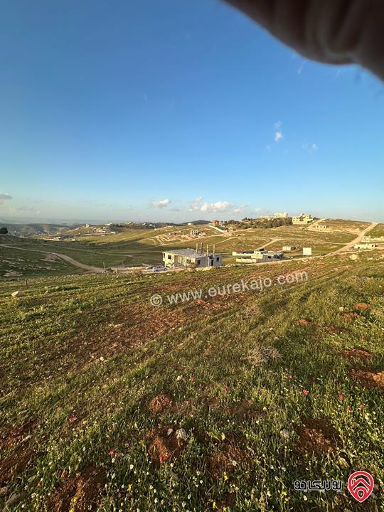 قطعة أرض مميزة مساحة 500م للبيع في الزرقاء - منطقة بيرين المطل 