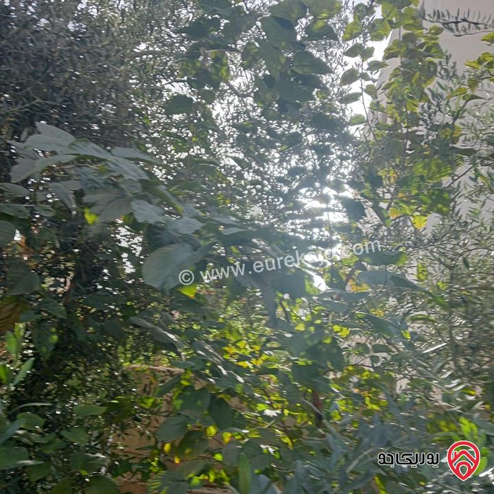 بيت مستقل 150م على أرض 300م للبيع في عمان - ام الدنانير  