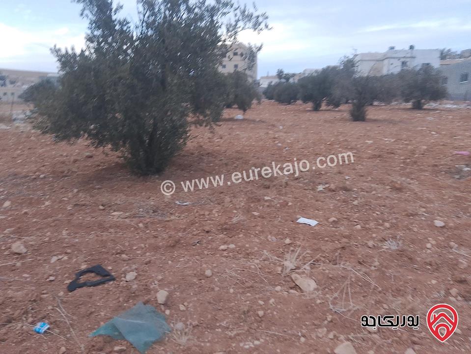ارض للبيع مساحة الأرض 942م في المفرق - بلعما داخل التنظيم    