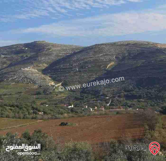 ارض مساحة 3 دونم للبيع في عمان - سيل حسبان زبود ناعور