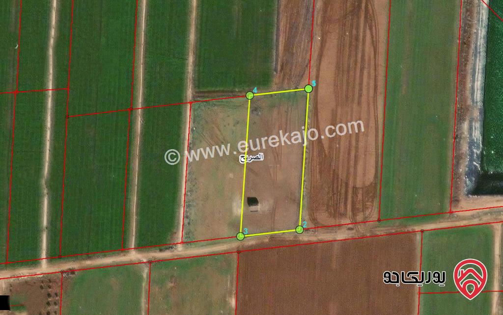قطعة ارض مساحة 3 دونم للبيع في اربد - الصريح شمال شارع البتراء 