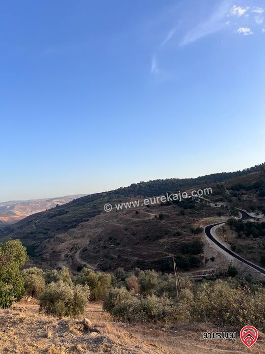 مزرعة مساحة الأرض 6 دونم و 500م للبيع في جرش منطقة جمله قريبة من محمية دبين اطلاله جميلة جداً وسعر حرق وربنا يبارك لصاحب النصيب