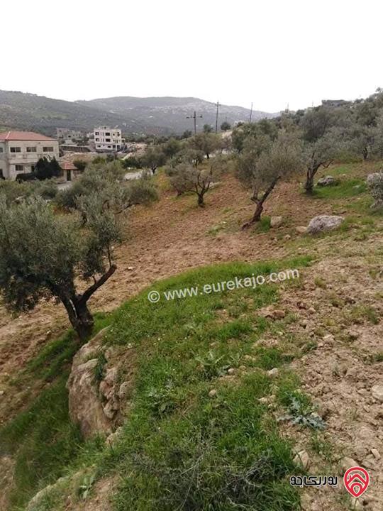 قطعة ارض مميزة مساحة 4 دونم و 390م للبيع في جرش /المقبلة 