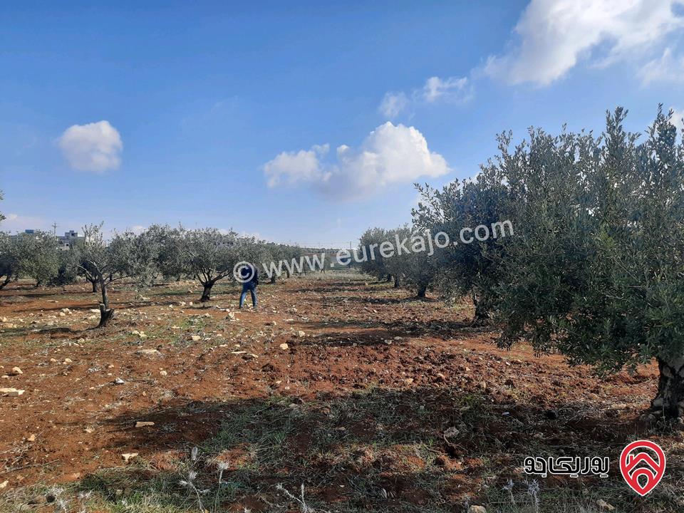 أرض مساحة 1 دونم و 74م للبيع في جرش سلحوب تبعد عن شارع الاردن تقريبا 2 كيلومتر، جميع الخدمات متوفرة ع شارع 12م