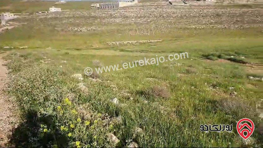 قطعة أرض مساحة 539م للبيع في الزرقاء - جريبا